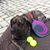 Brandi Smith's profile image