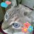 Pam Marken's profile image