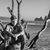 Tim Allwein's profile image