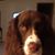 Judy Ann-Coleman Lampen's profile image