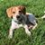 Anna Marie Clayton's profile image