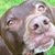 Susan Owens Grinker's profile image