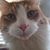 Elvira Stepien's profile image