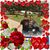 Cheryl Henderson Lovell's profile image