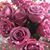 Christie McDaniel Noll's profile image