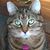 Dot Pollock MacIntosh's profile image