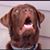Washington Rosado's profile image