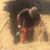 Brent Stechelin's profile image