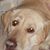 Kristen Bramblett's profile image