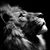 Hrb Moody's profile image