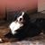 Carol Sherry Staebler's profile image
