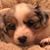 Kelly Campbell Jones-Boswell's profile image