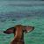 Andrew Whyman-Brown's profile image