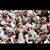 Sara Trumpower Haug's profile image