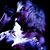 Debra Edwards's profile image
