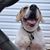 Lori Koch Shufelt's profile image