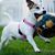 Jennifer Effler's profile image