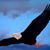 Predrag Cincovic Japanac's profile image