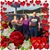 Kimberly Kerstetter's profile image