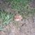 Gary Livesay's profile image