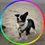 Amy Young-Leith's profile image