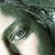 Diana Ranslam's profile image