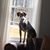 Nancy Barr Stroz's profile image