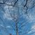 Eleison Carpenter's profile image