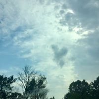 Rose Mary Pruitt's profile image