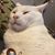 Jorge Barahona's profile image