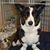 Lorrie Feeney's profile image