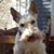 Neal Zipser's profile image