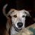 Lisa Cosenza's profile image