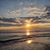 Lori Lynch's profile image