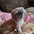 Cathy Cox Sobel's profile image