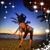 Francie Remmert's profile image