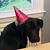 Amanda J. Wendt's profile image