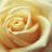 ciynderella's profile image