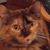 Jonathan Scott Spicer's profile image