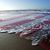 Matthew A. Domke's profile image