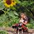 Danielle Thibault's profile image