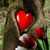 Kimberly A. Troxel's profile image