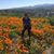 Debbie Barr's profile image