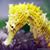 Andrea Penida's profile image