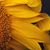 Cindy Clayton's profile image