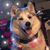 Linda Rutter's profile image