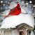 Laura Wesserling Lach's profile image