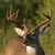 Jerry Johnson's profile image