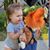 Maureen Kineavy-Fallon's profile image