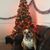 Corina Ortiz Luevano's profile image